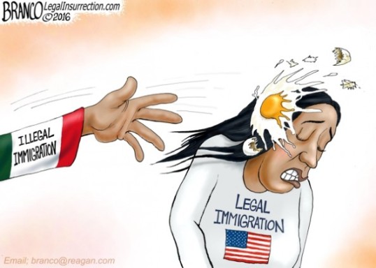 Image result for cartoons trump touch back amnesty