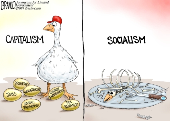 cartoon-golden-goose-capitalism.jpg